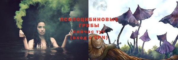 крисы Осинники