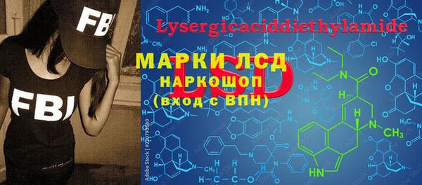 крисы Осинники