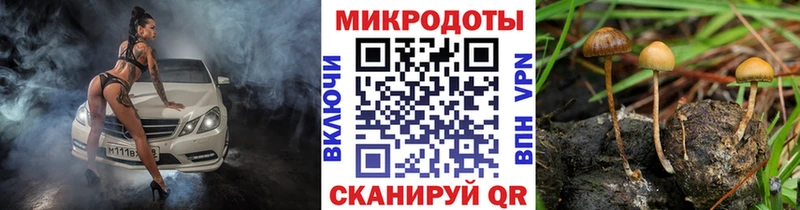 Галлюциногенные грибы GOLDEN TEACHER Среднеколымск